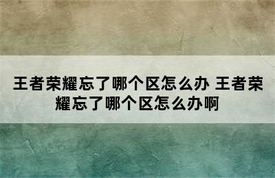 王者荣耀忘了哪个区怎么办 王者荣耀忘了哪个区怎么办啊